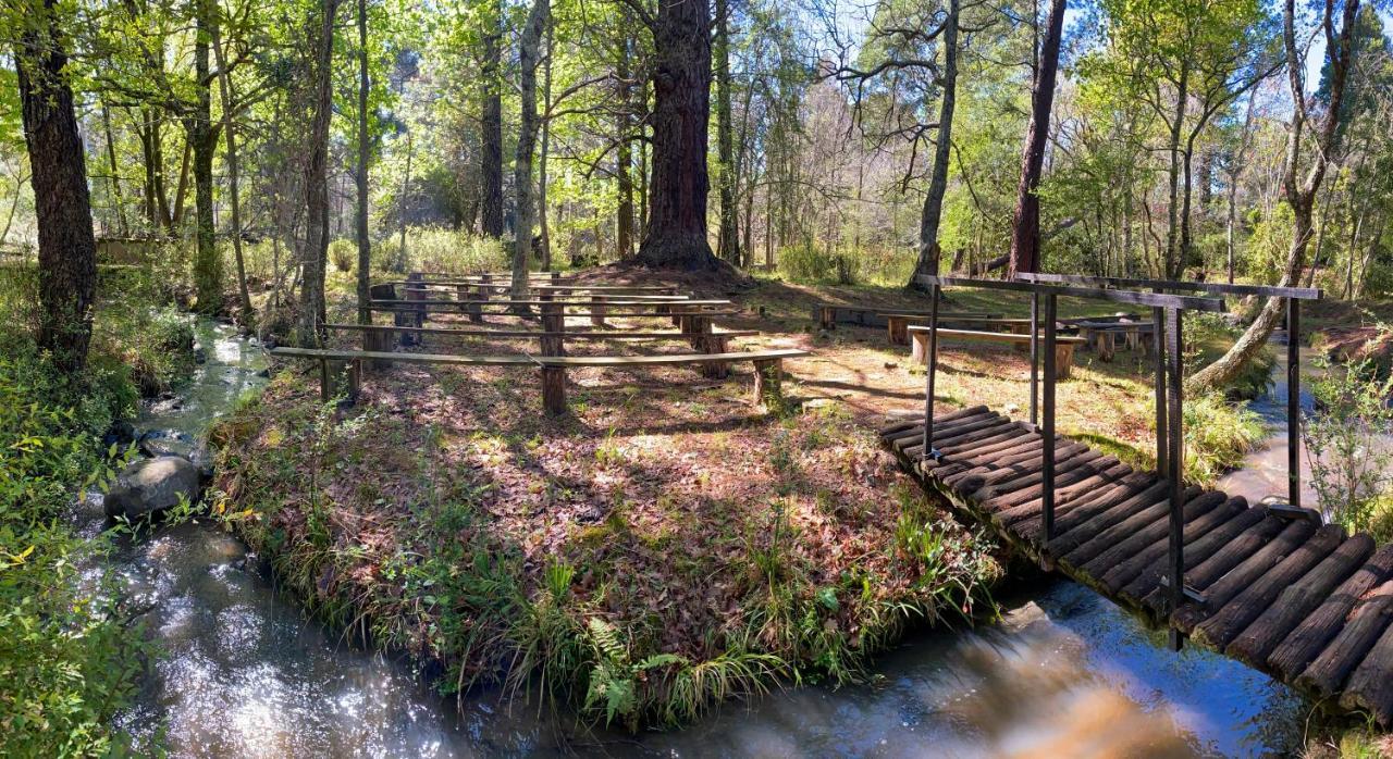 The Historic Hogsback Inn Bagian luar foto